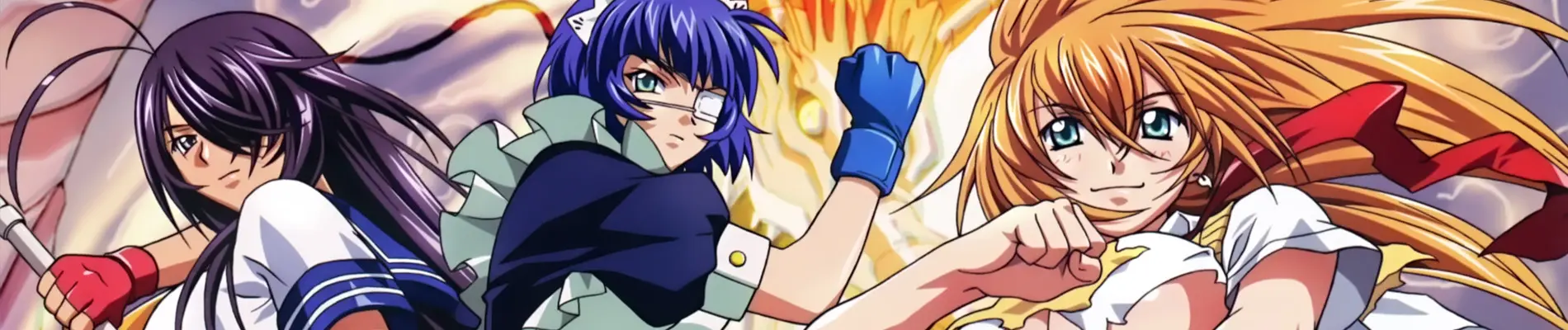 Banner for Ikki Tousen: Dragon Destiny