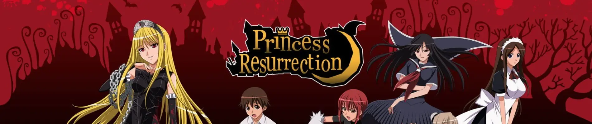 Banner for Princess Resurrection
